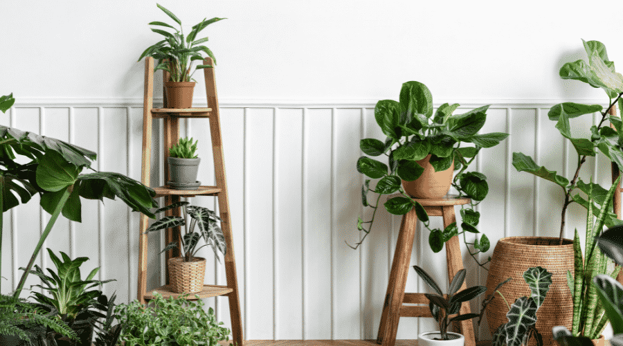 plantas para apartamento