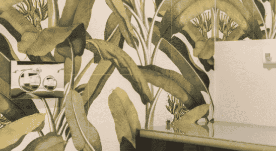 cropped-Tipos-de-papel-de-parede-para-lavabo.png