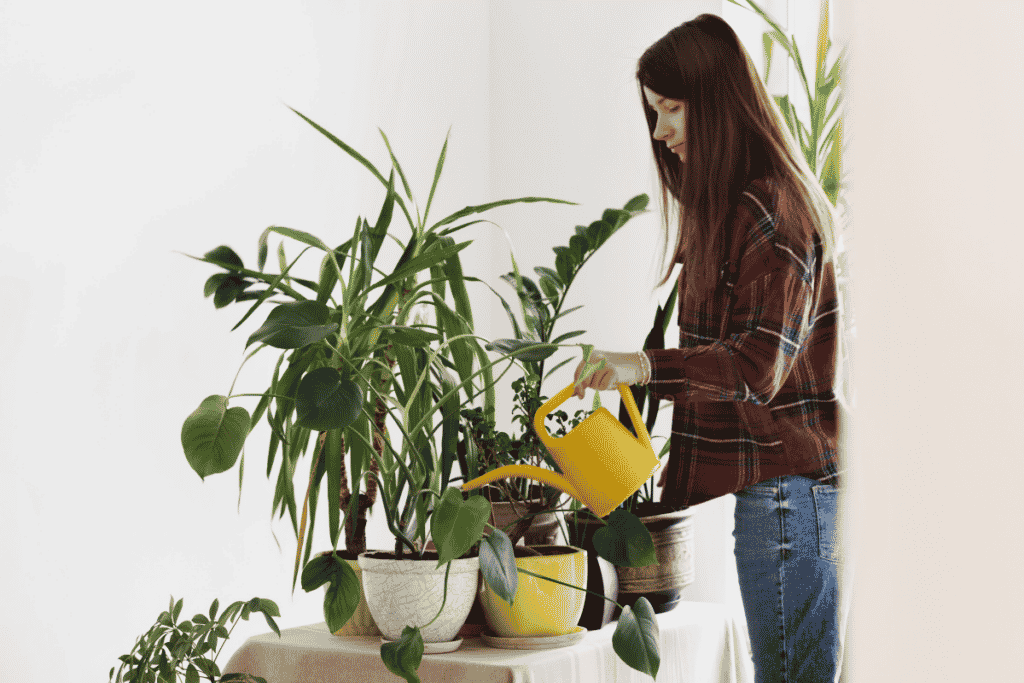 plantas resistentes