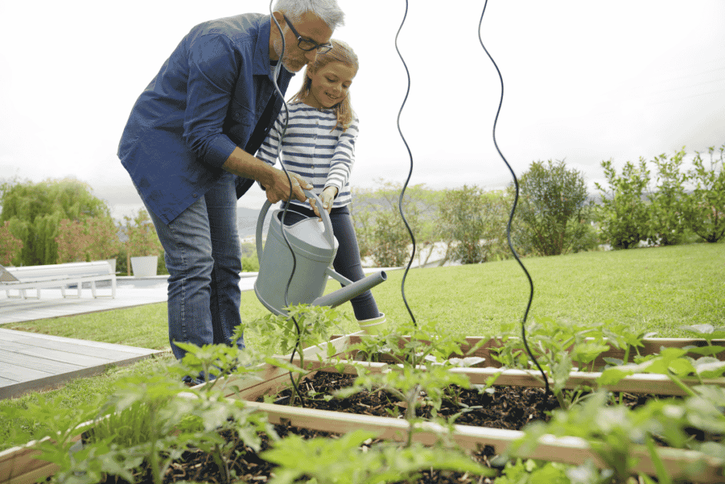 Jardim com horta