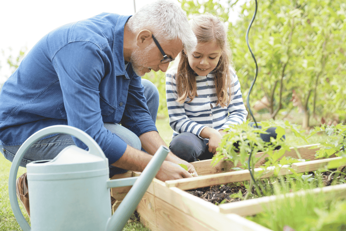 como montar uma horta em casa