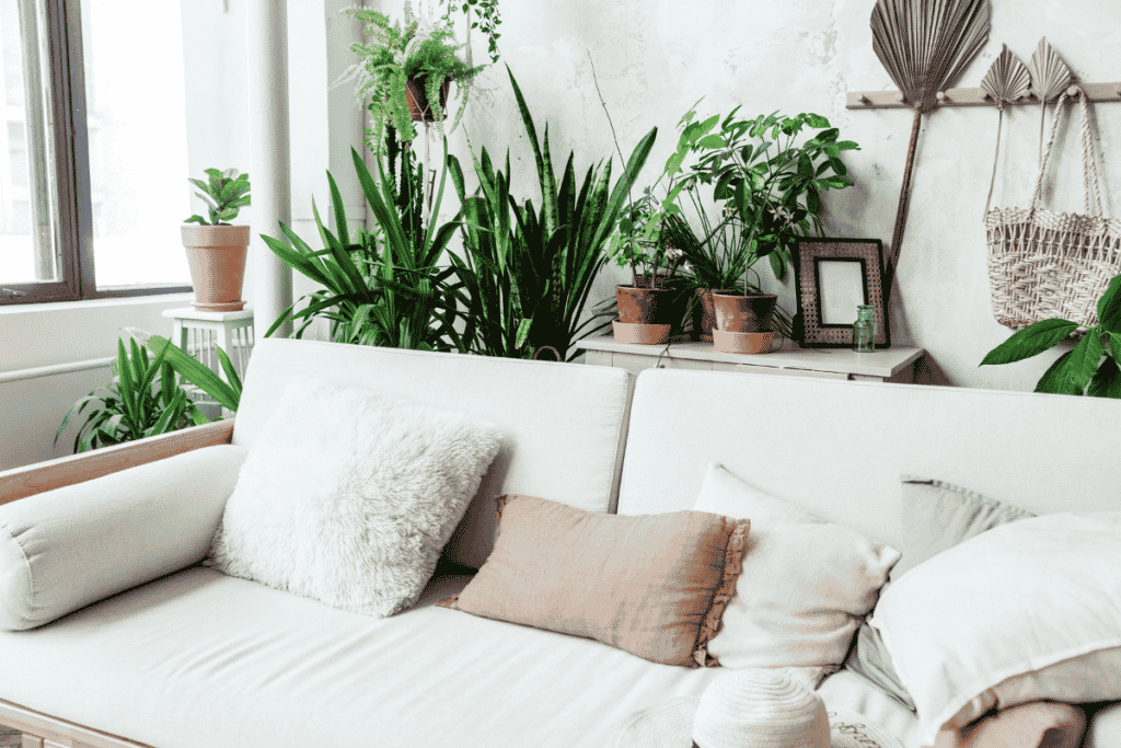 decorar a casa com planta