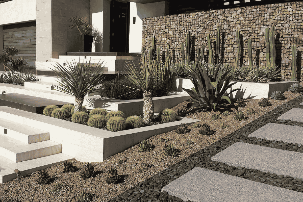 jardim desértico
