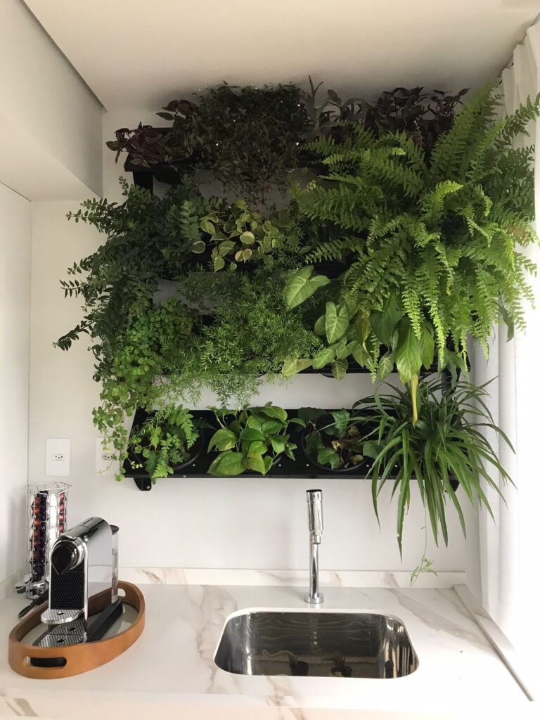 jardim vertical