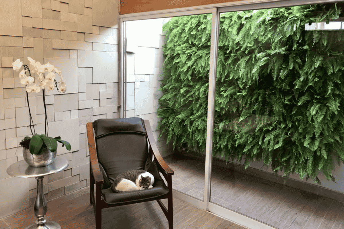 jardim vertical