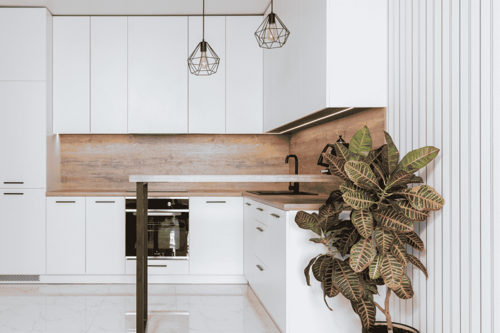 plantas para cozinha