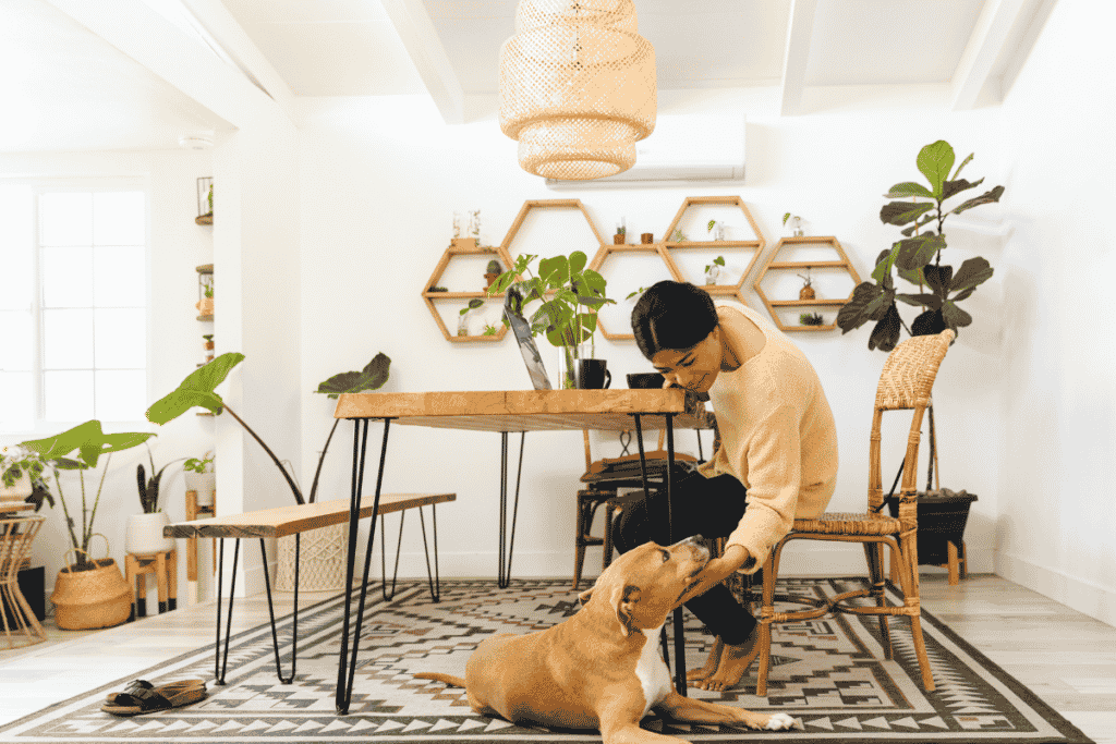 plantas para quem tem cachorro