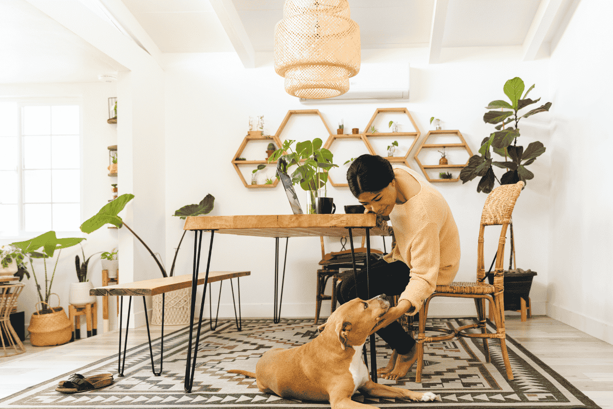 plantas para quem tem cachorro