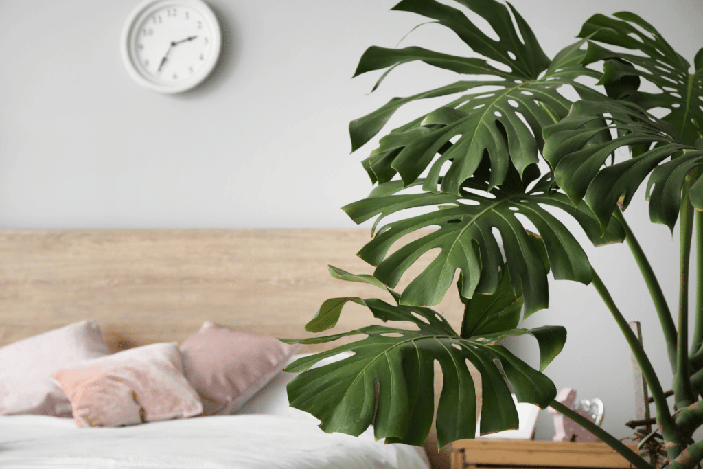 Decoração estilo tropical