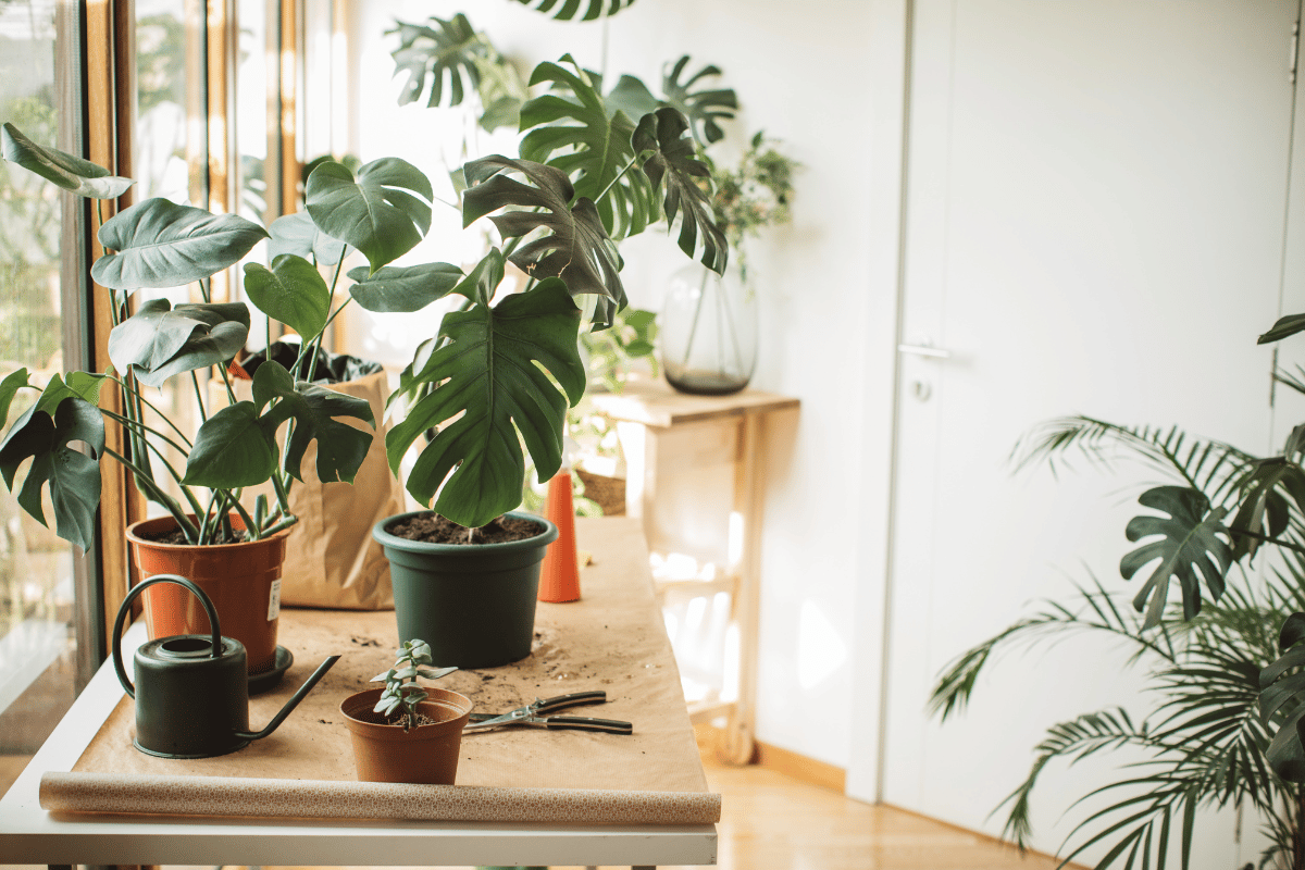 jardim para espaço interno