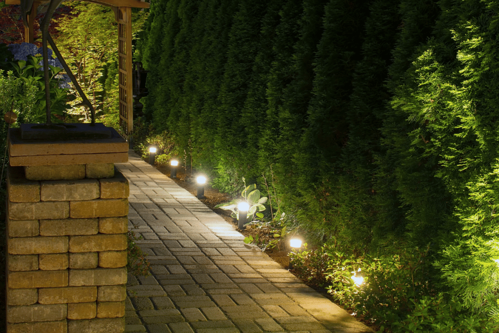 luzes artificiais no jardim