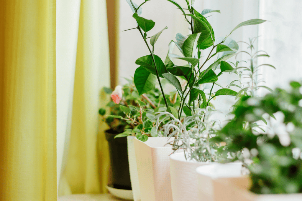 sustentabilidade na decoração