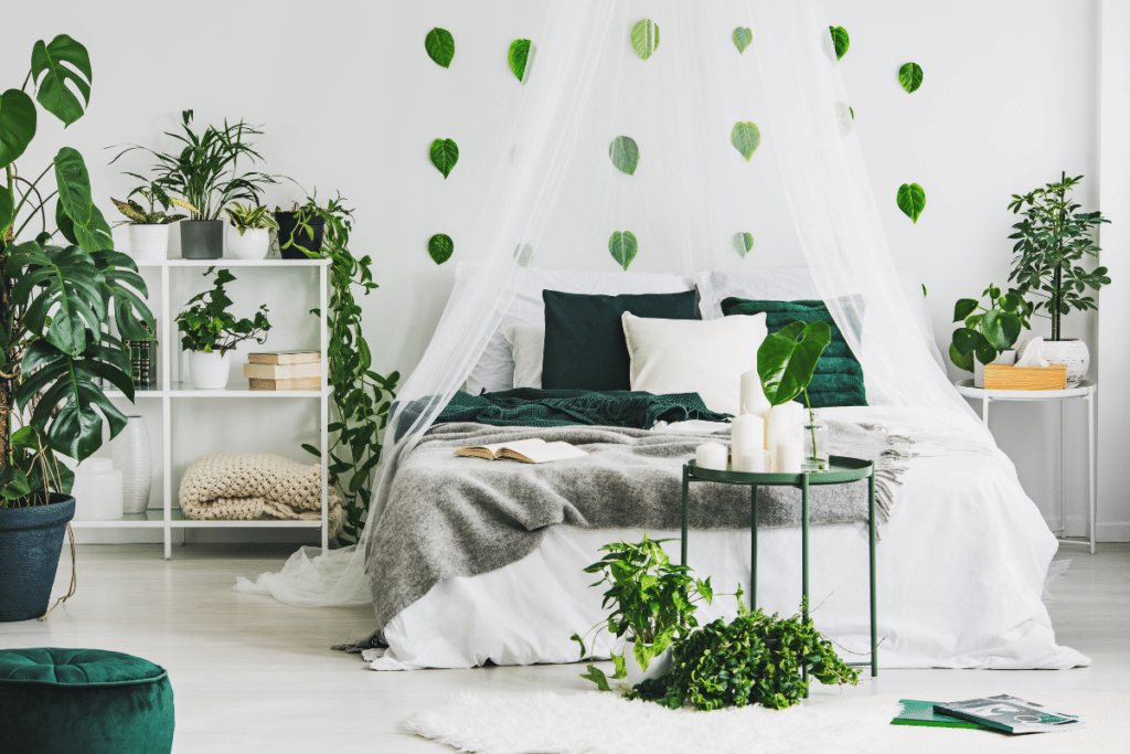 urban jungle para iniciantes
