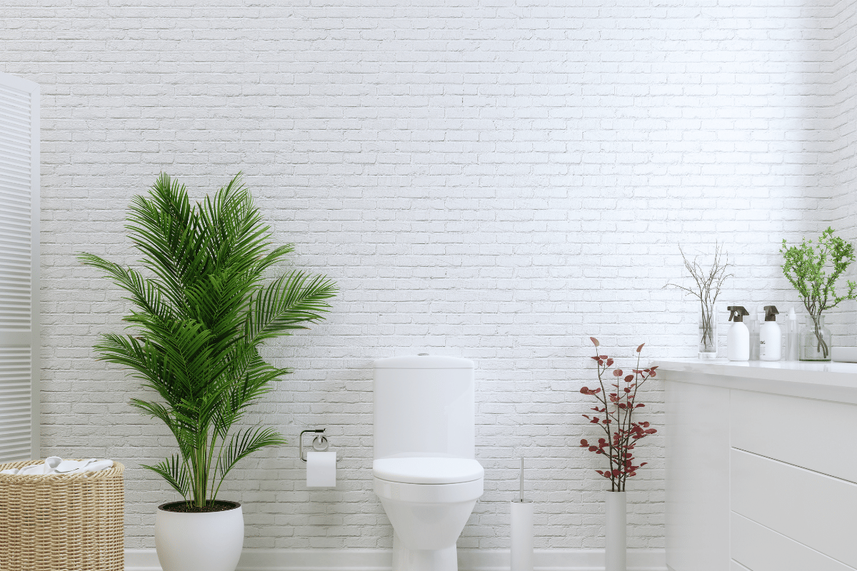 como decorar lavabo com plantas