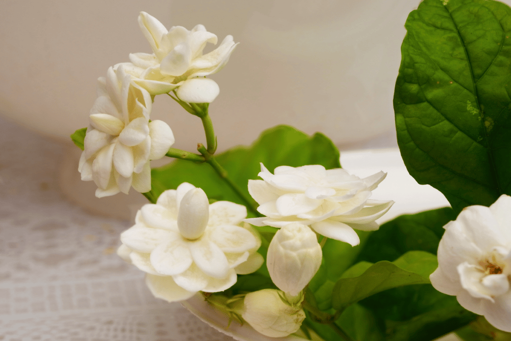 flores na decoração