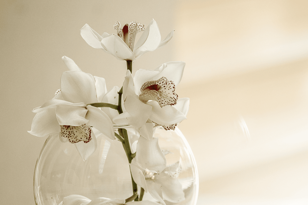 orquídea na decoração