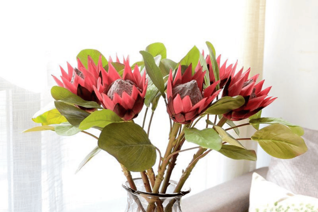 Proteas