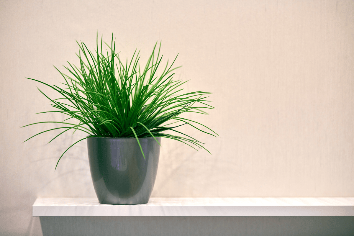 como usar plantas artificiais na decoração