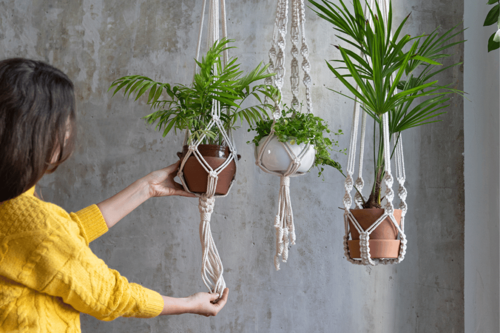 dicas de como montar um jardim suspenso