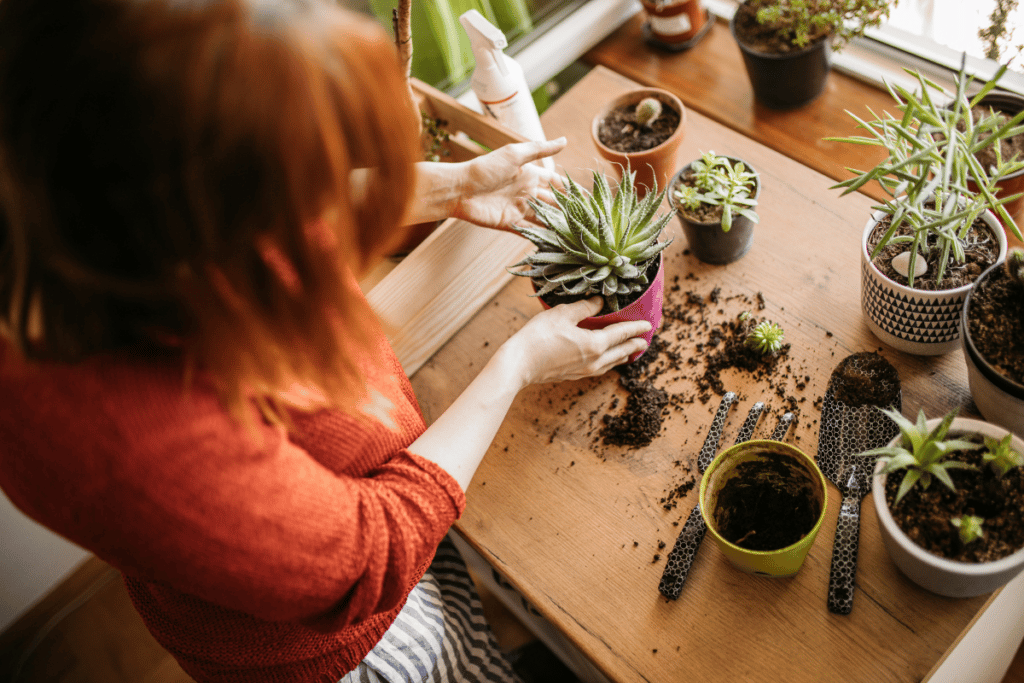 dicas de jardinagem