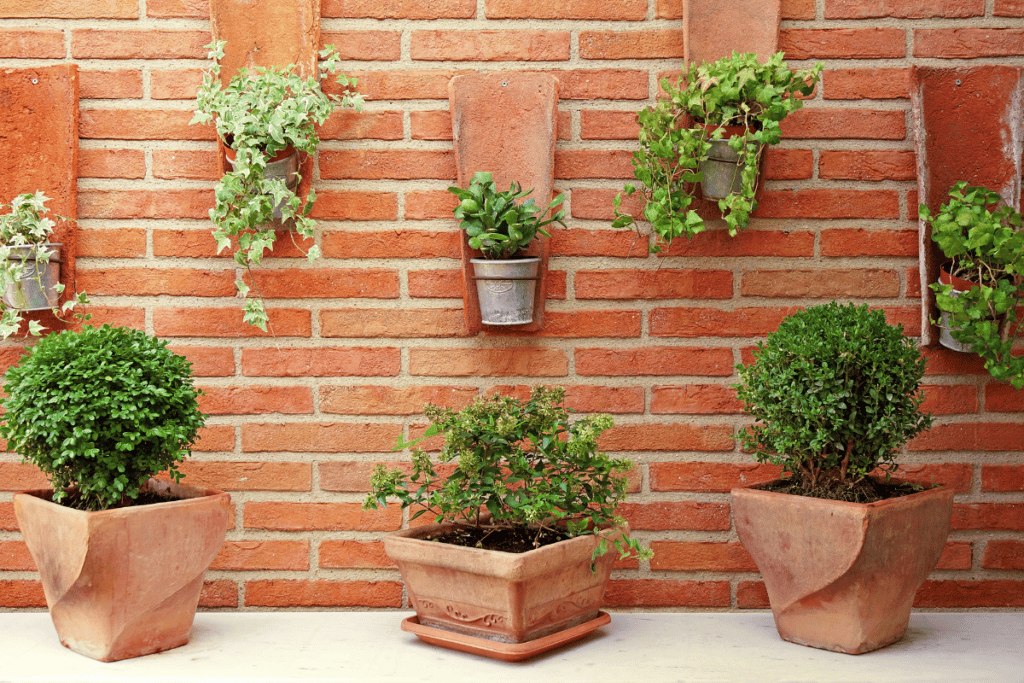 jardim pequeno