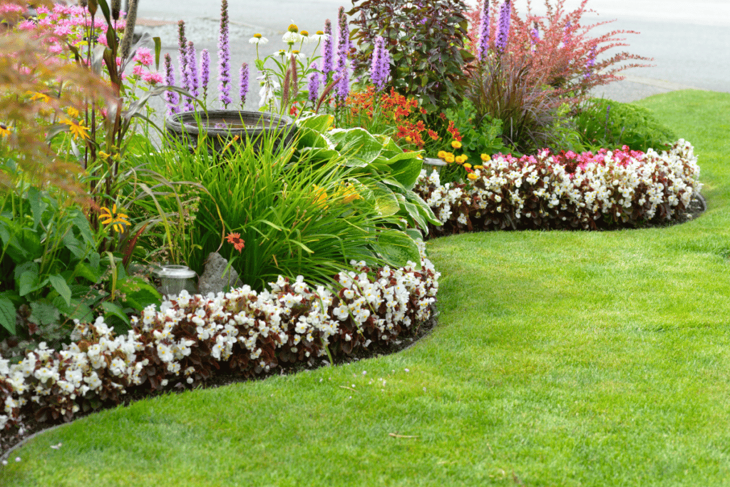 plantas ideais para canteiros em casa