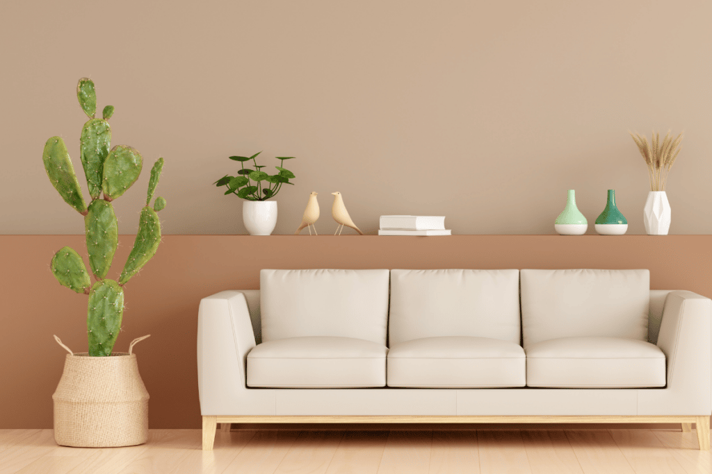 plantas ideais para ter na sala