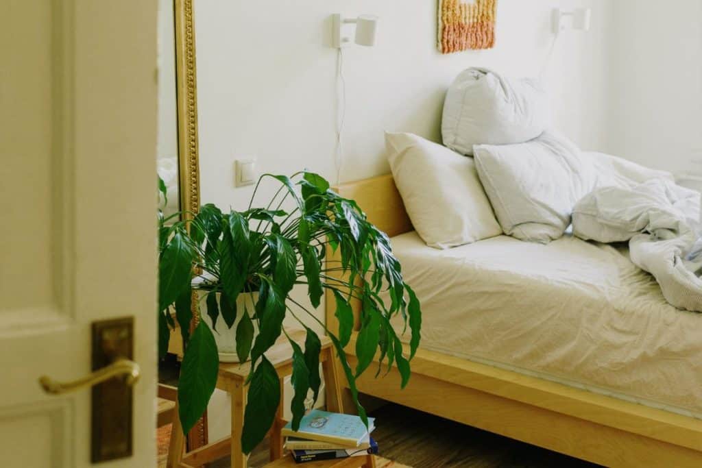 5 erros que fazem sua casa ficar