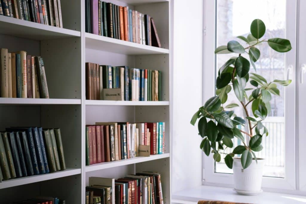 Organizar livros na decoração
