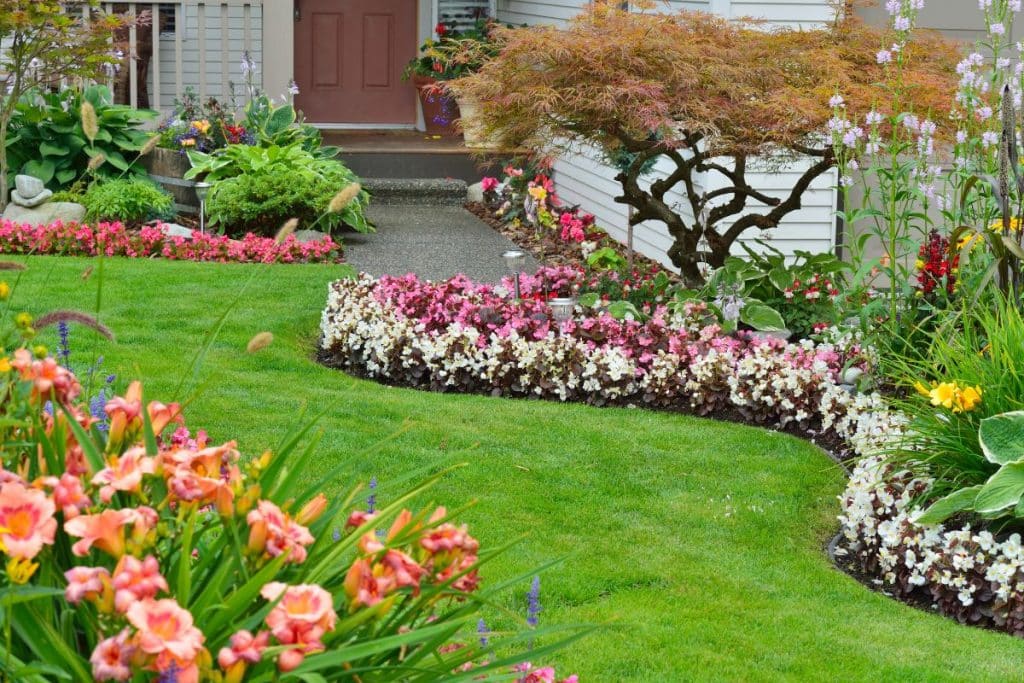 cuidados com jardim