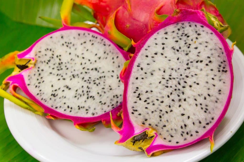 cultivar pitaya em casa