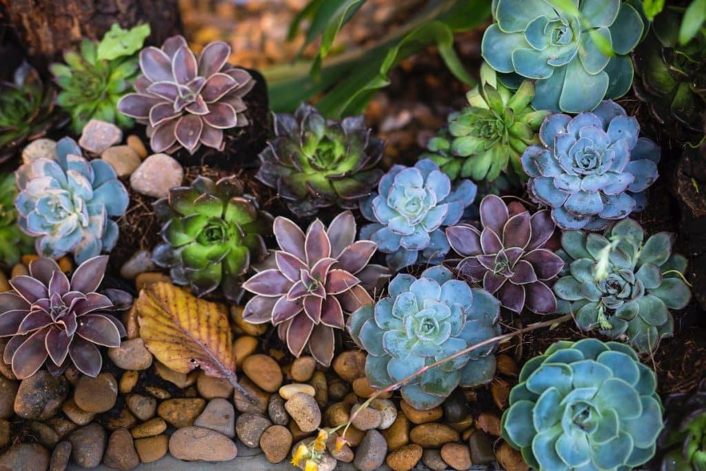 pedras para jardim
