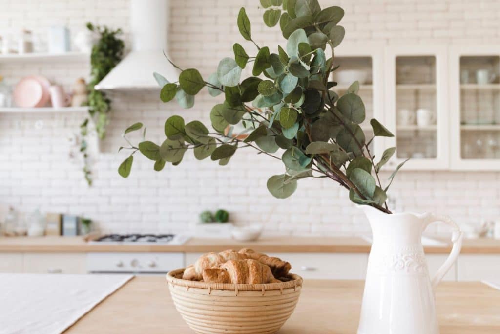 plantas para decorar a cozinha