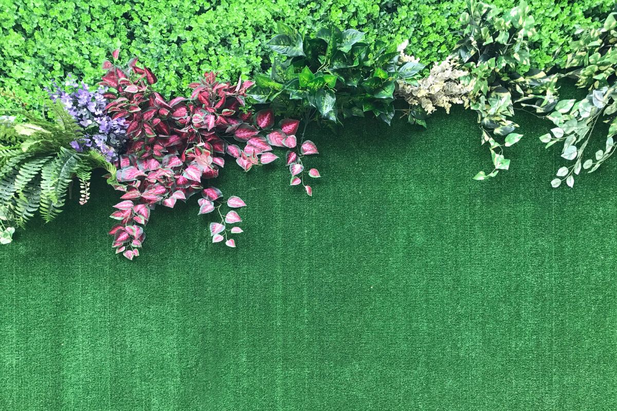 plantas para muro