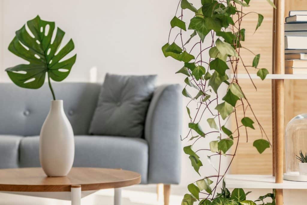 Natureza na decoração