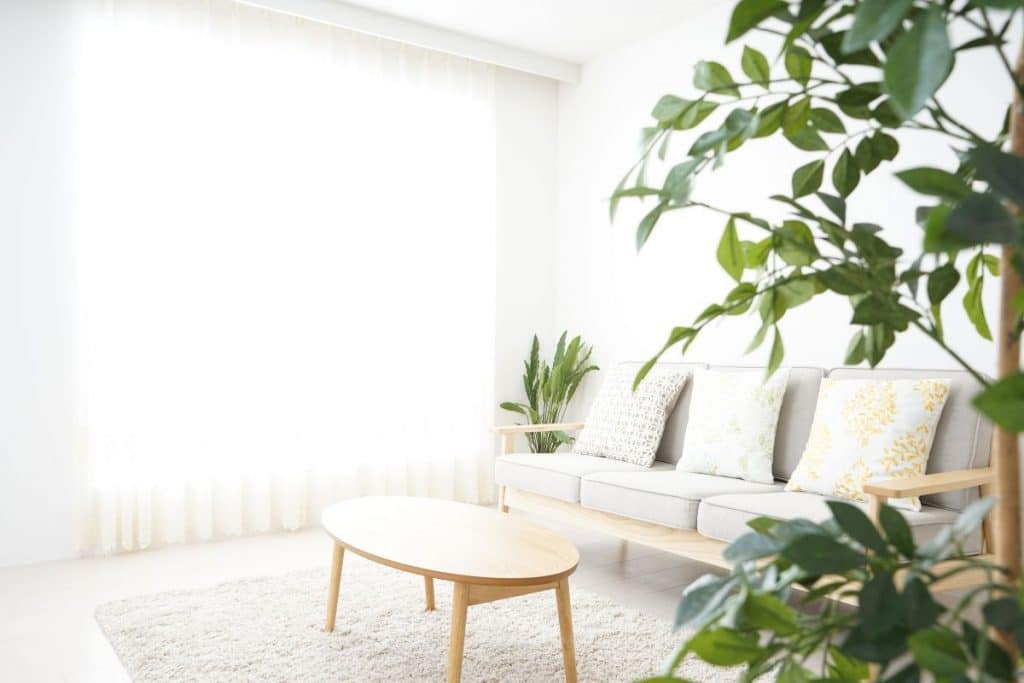 decoração sustentável para casa