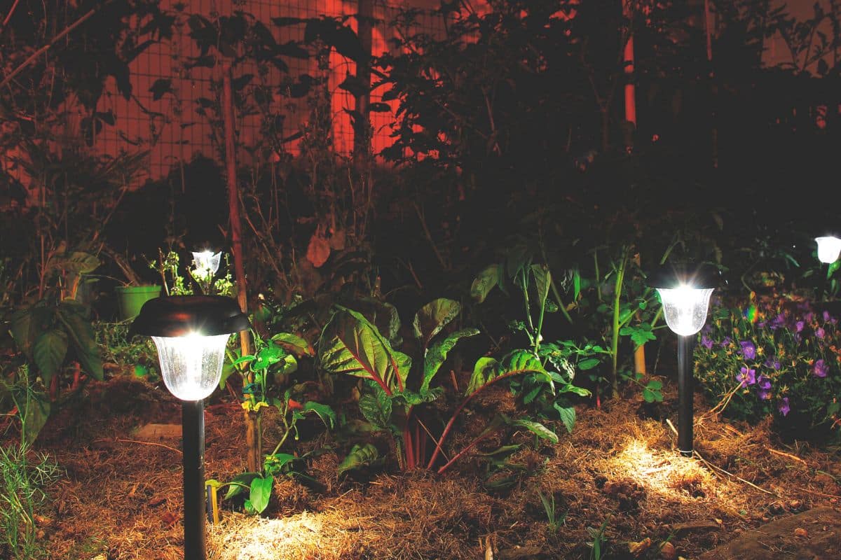 luzes para jardim