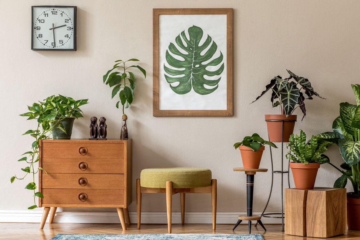 plantas na decoração de ambientes