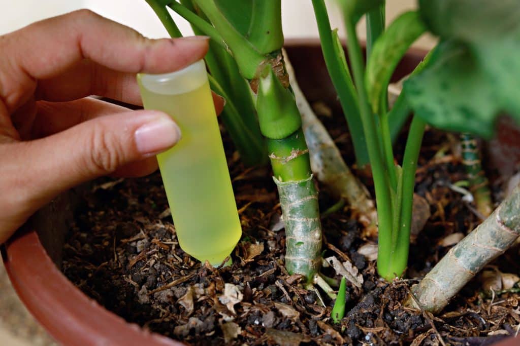 adubo liquido para horta