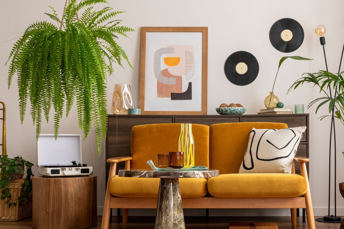 decoração com samambaias