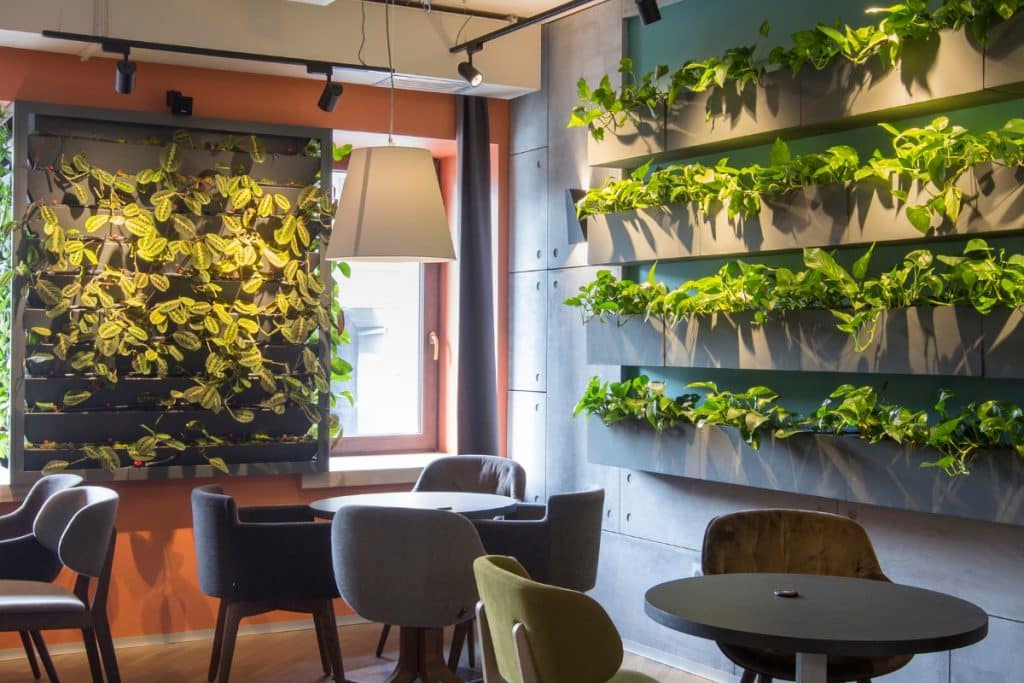 decoração de parede com plantas
