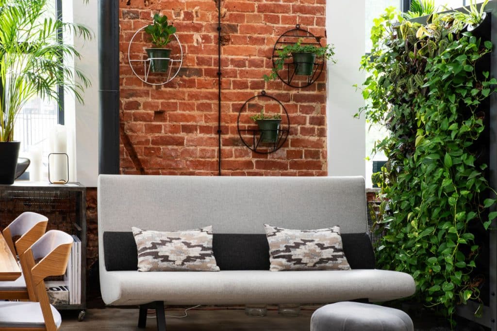 jardim vertical na sala