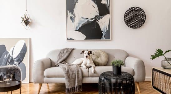 dicas de decoração preto e branco