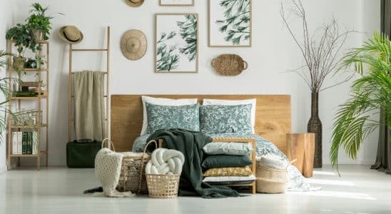 Plantas para decoração de quarto