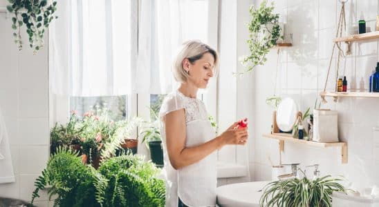 biofilia em casa