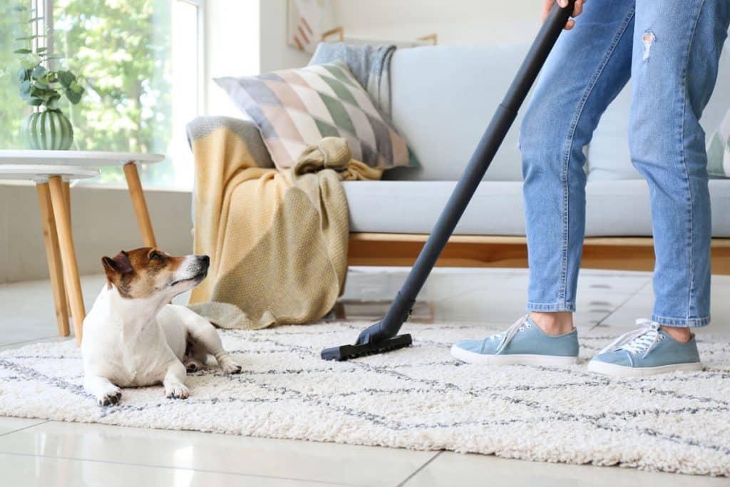 5 dicas práticas para manter a limpeza da casa