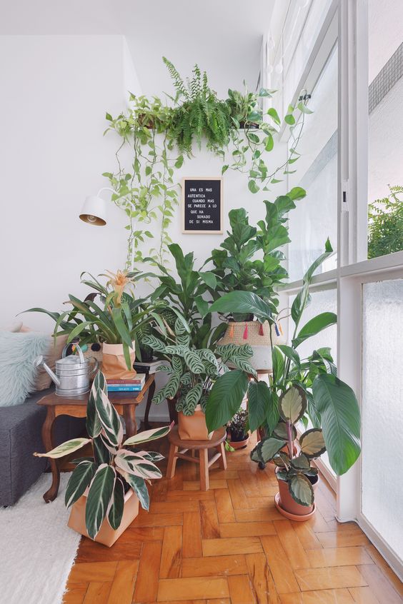 decoracao urban jungle