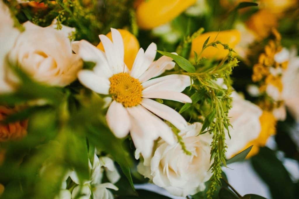 flores economicas para casamento