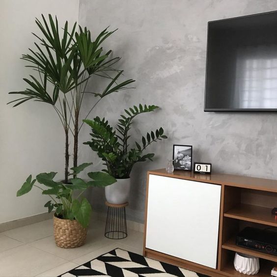 cimento queimado na sala