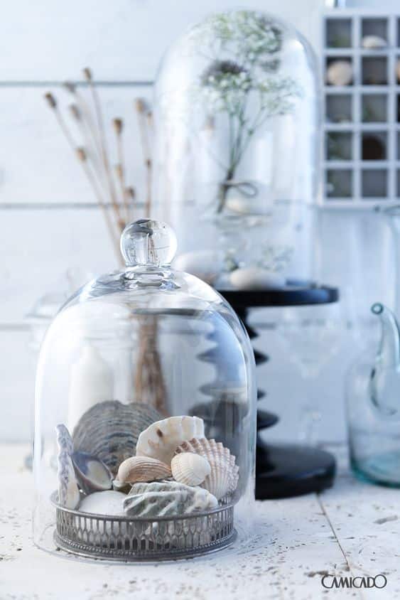 conchas na decoracao da casa
